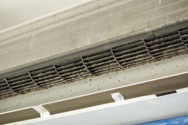 Best HVAC Air Duct Cleaning  in Waikoloa Village, HI
